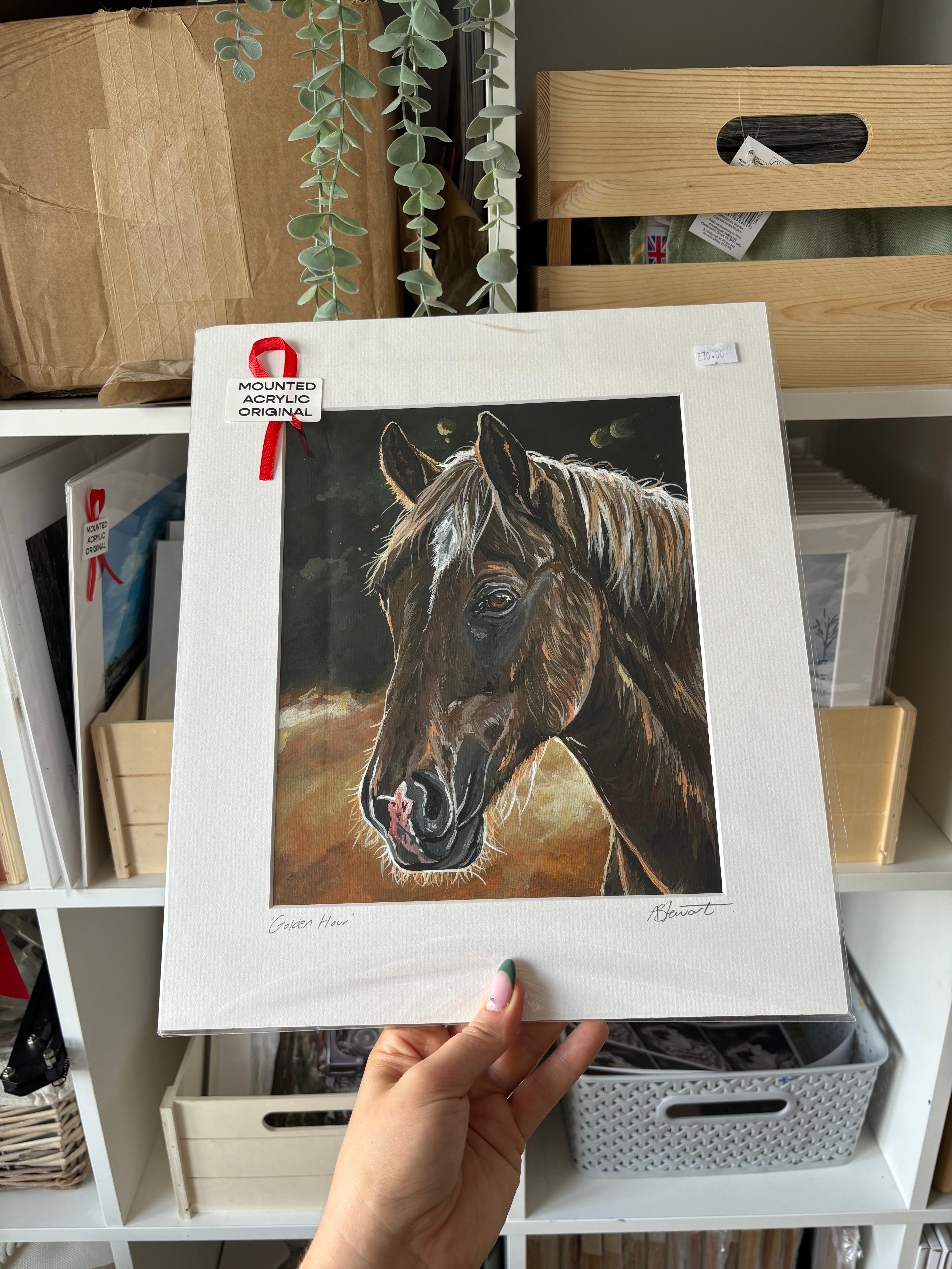 Original Acrylic Painting of a Horse