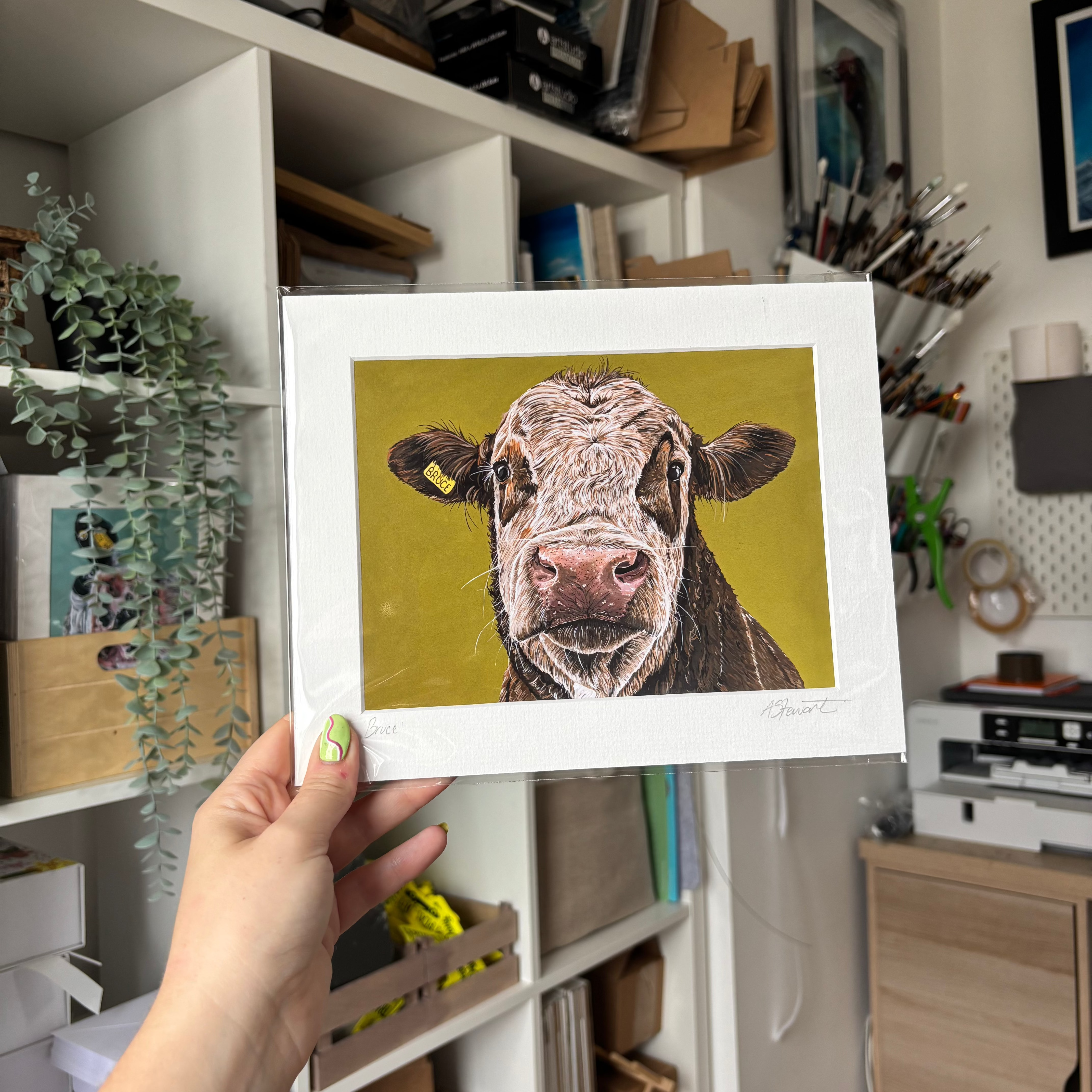 "Bruce" Cow Mounted Print