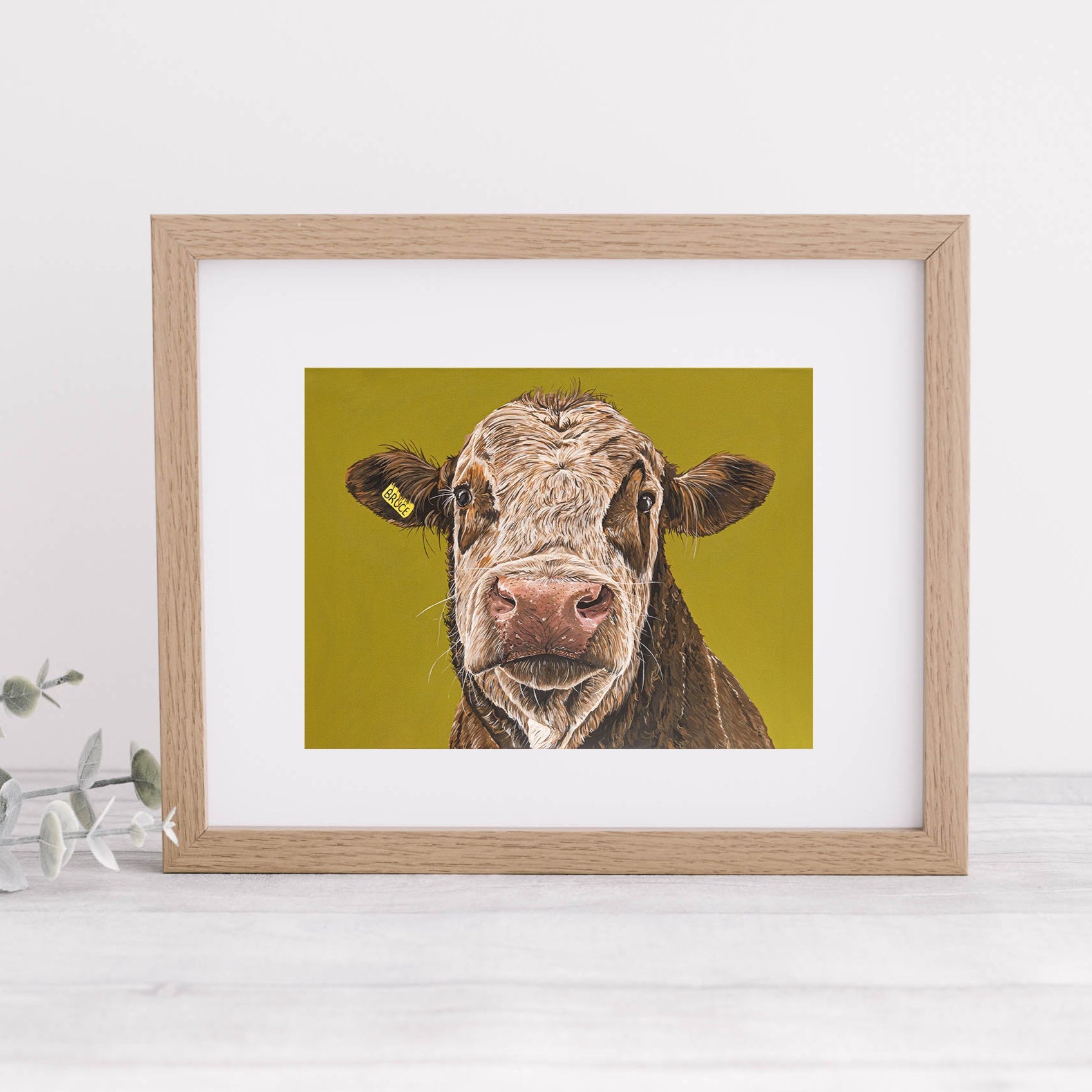 "Bruce" Cow Mounted Print