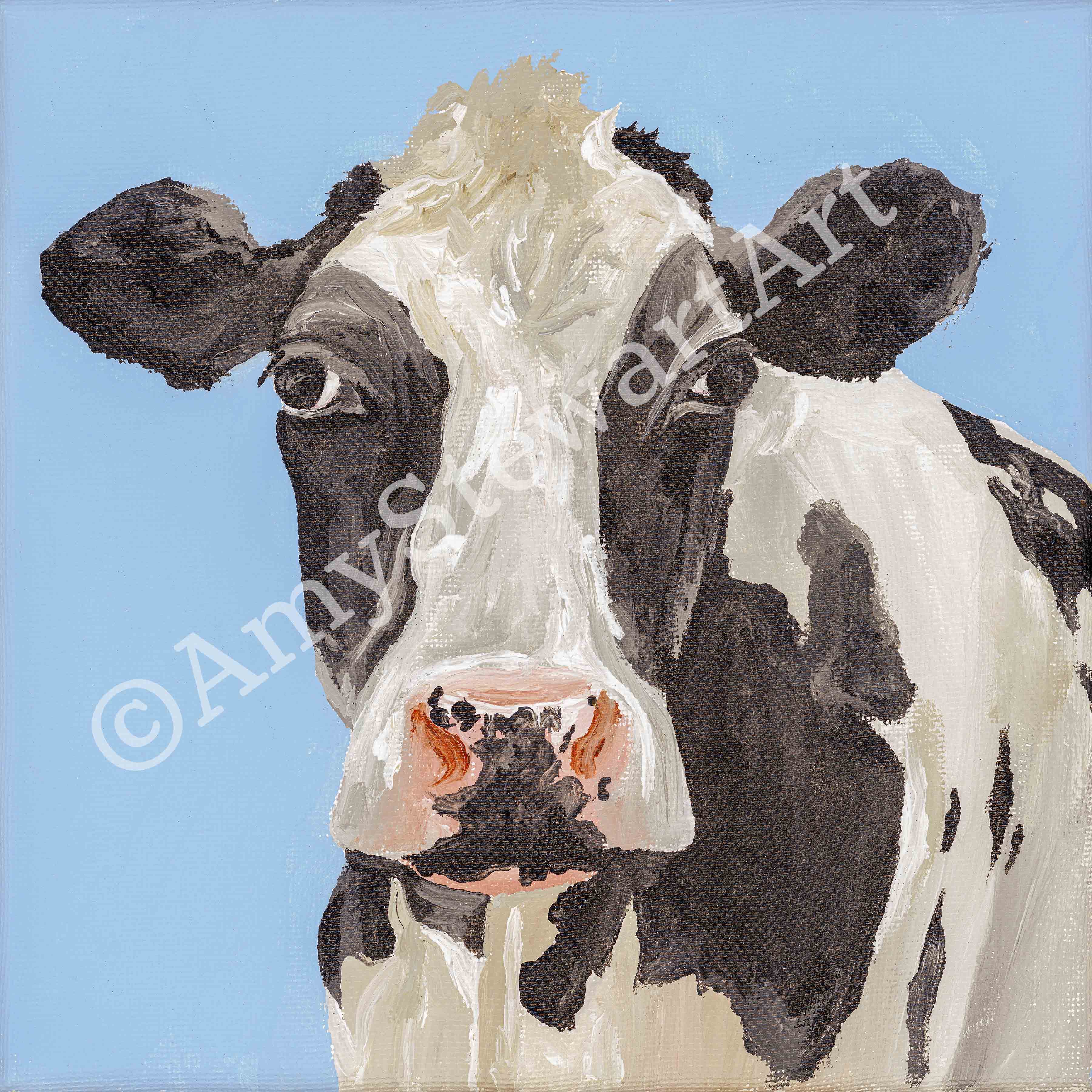 Friesian Cow Mounted Fine Art Print