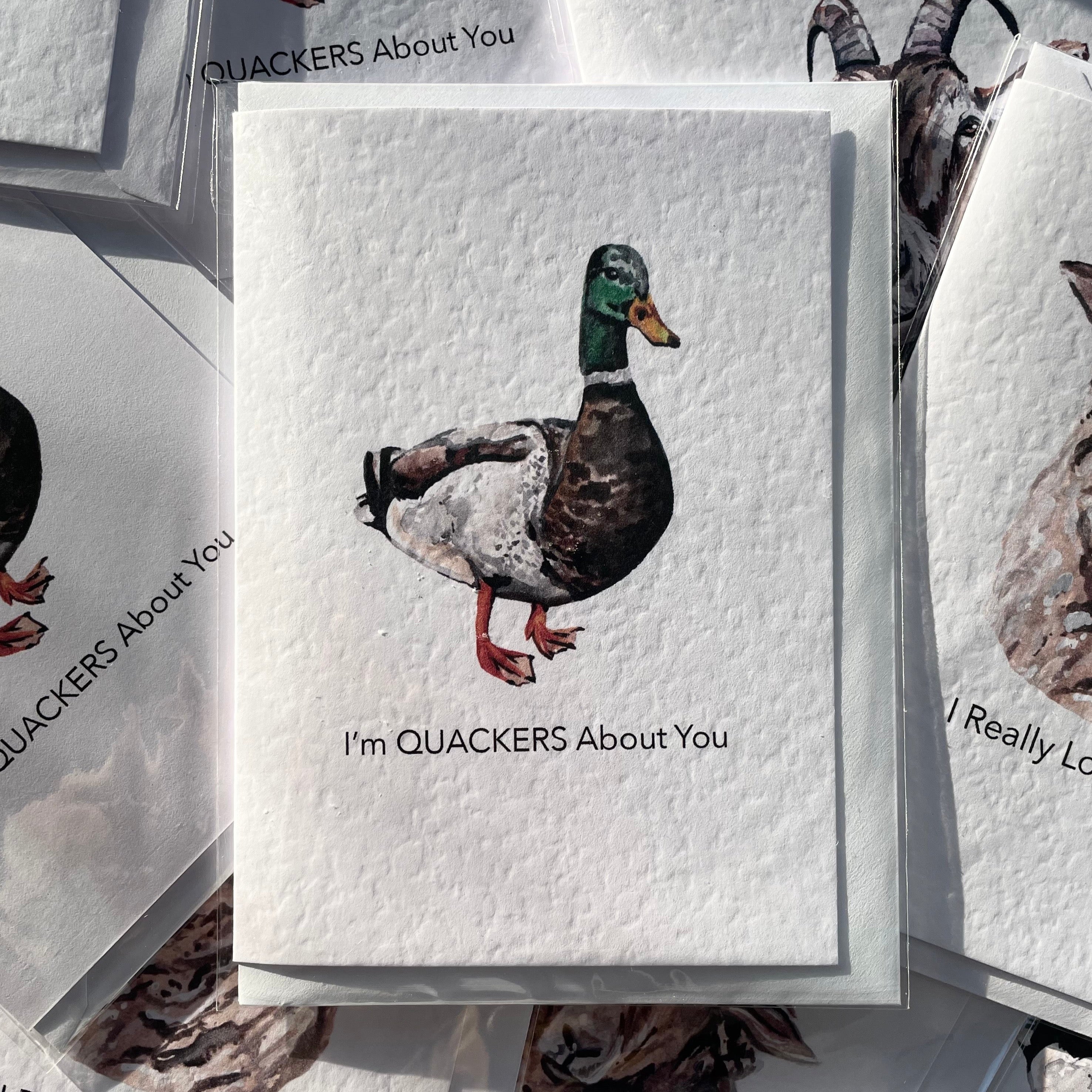 A6 Valentine's Day Duck Card