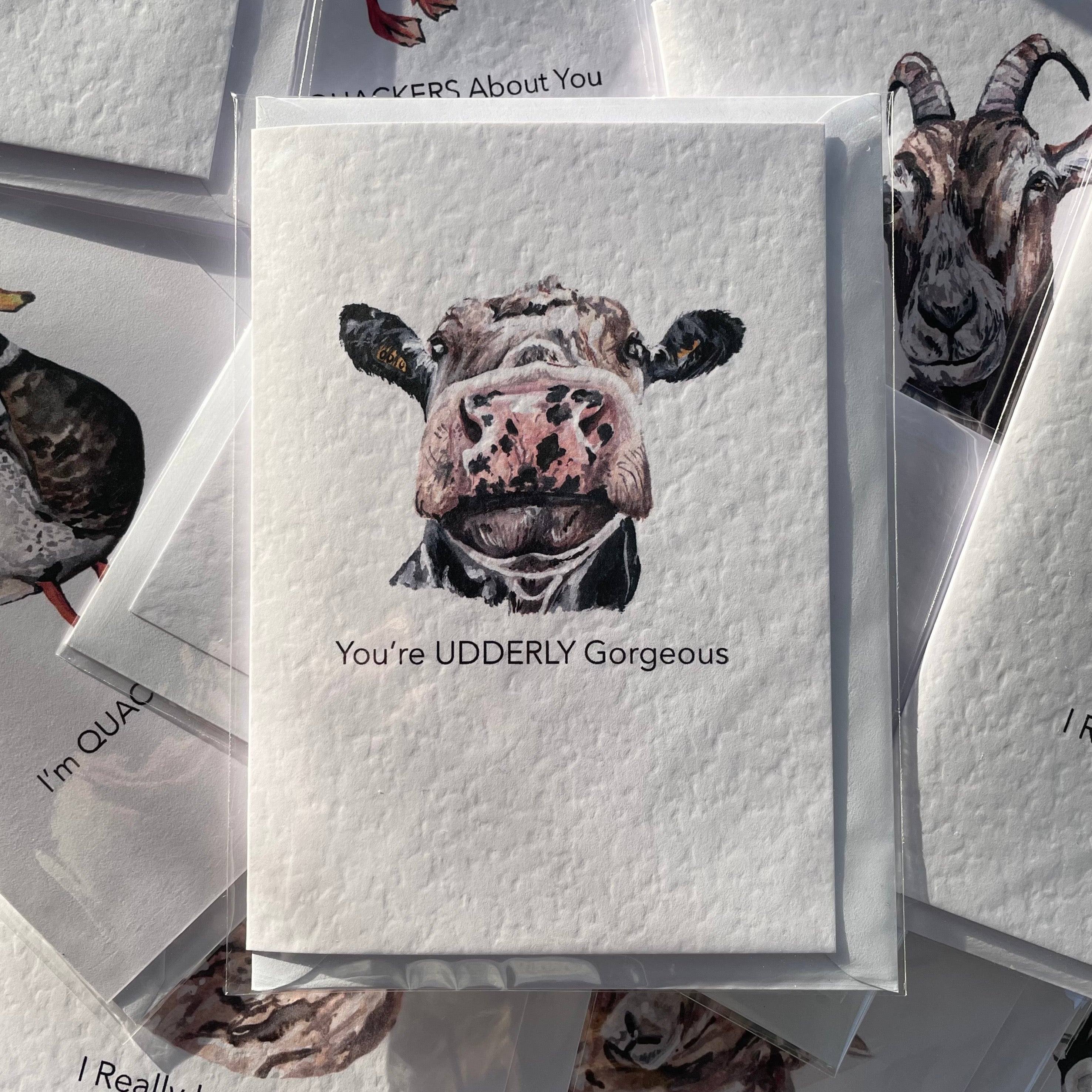A6 Valentine's Day Cow Greeting Card